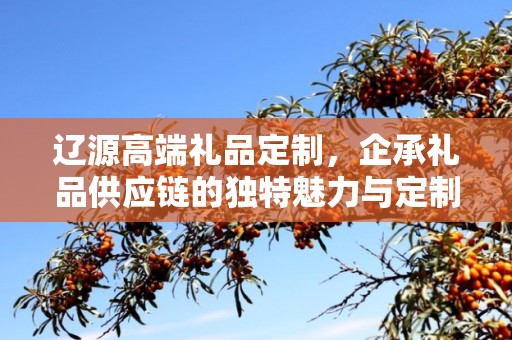 辽源高端礼品定制，企承礼品供应链的独特魅力与定制之旅