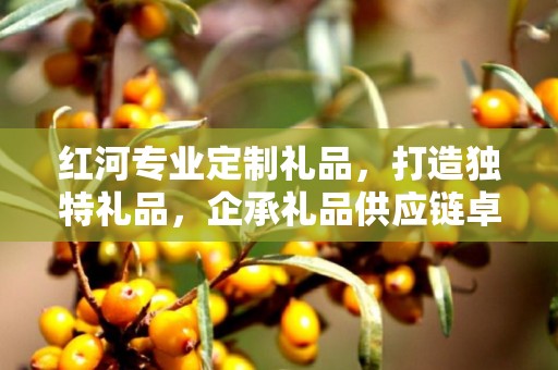 红河专业定制礼品，打造独特礼品，企承礼品供应链卓越之选
