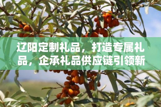 辽阳定制礼品，打造专属礼品，企承礼品供应链引领新风尚