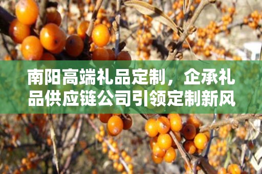 南阳高端礼品定制，企承礼品供应链公司引领定制新风尚